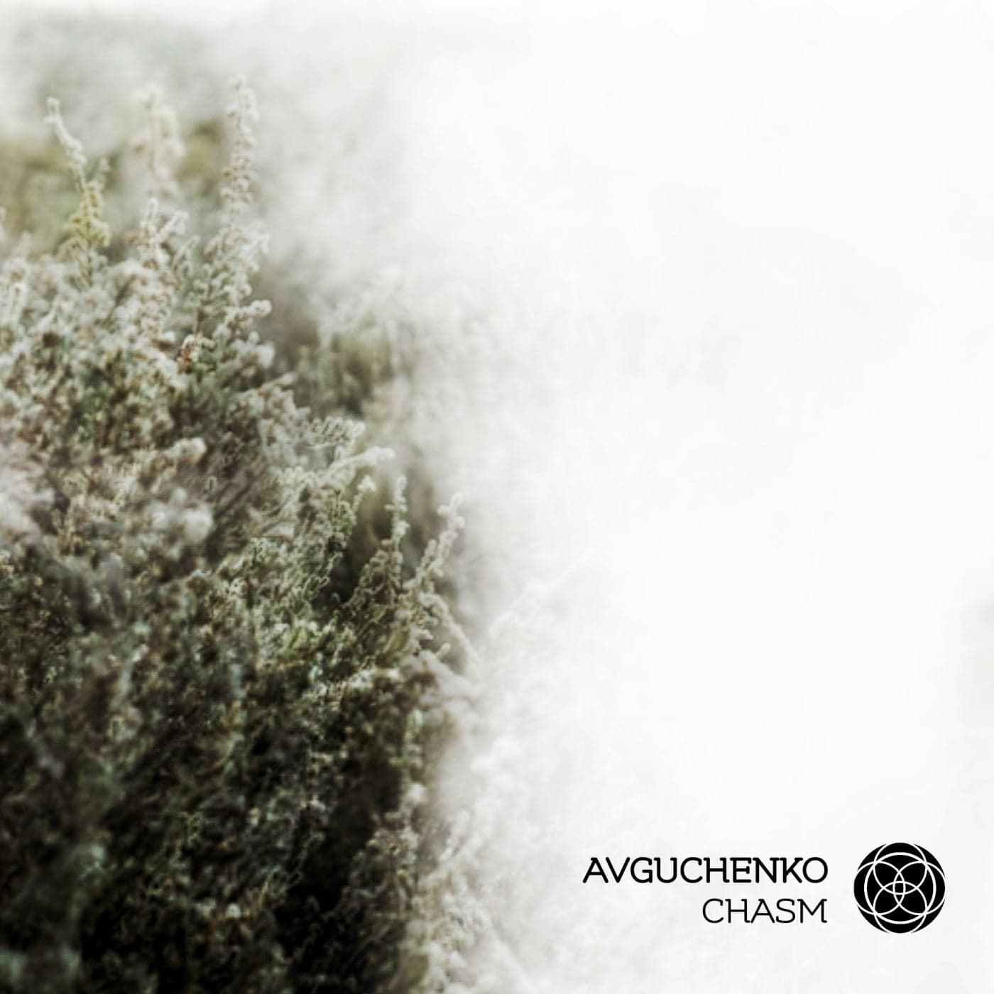 image cover: Avguchenko - Chasm / SHPS003