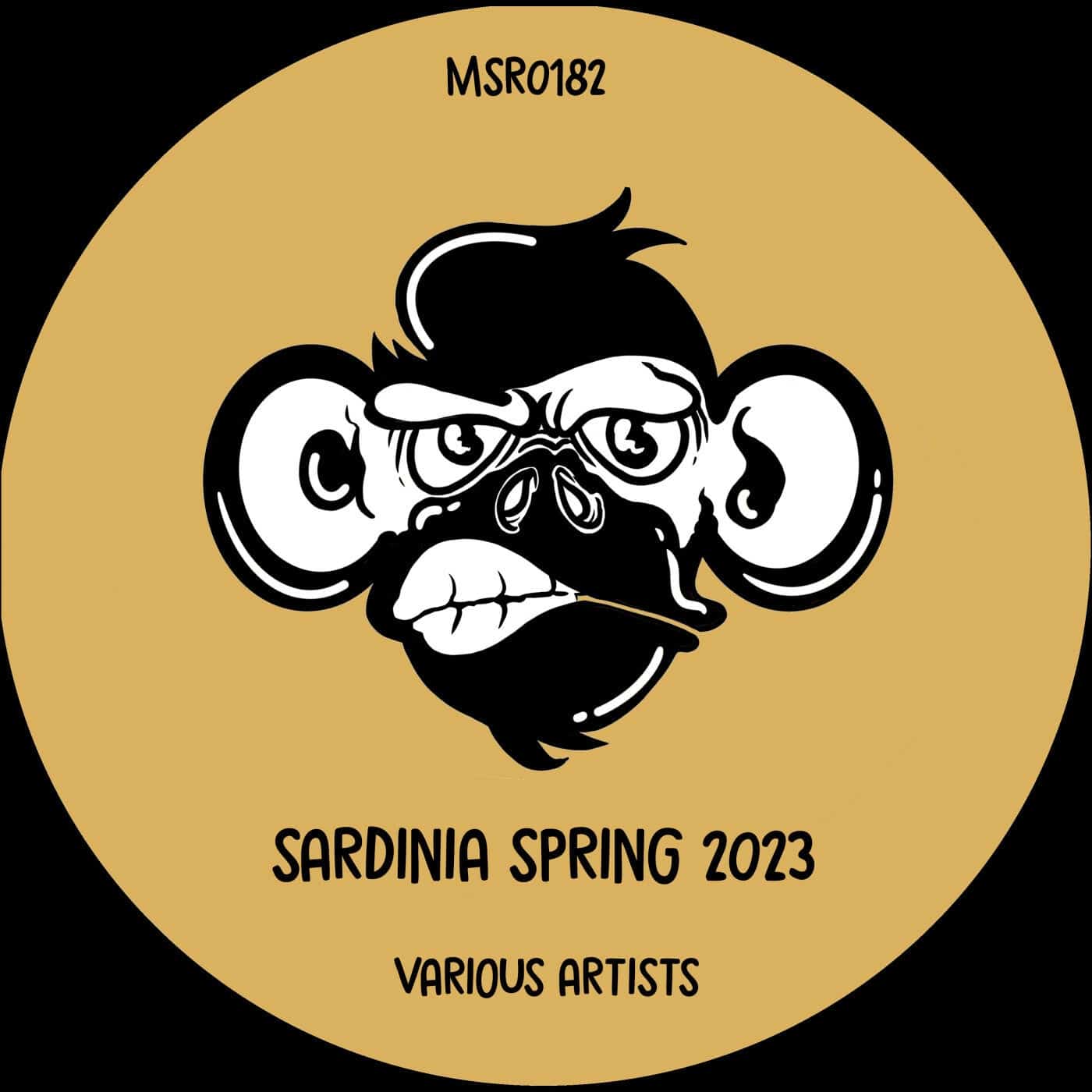 image cover: Condu, Parody (AR), Cuervo, Santo G, David Geil, Samii, Maluco, Leandro Kolt, Mala Music - Sardinia Spring 2023 / MSR0182