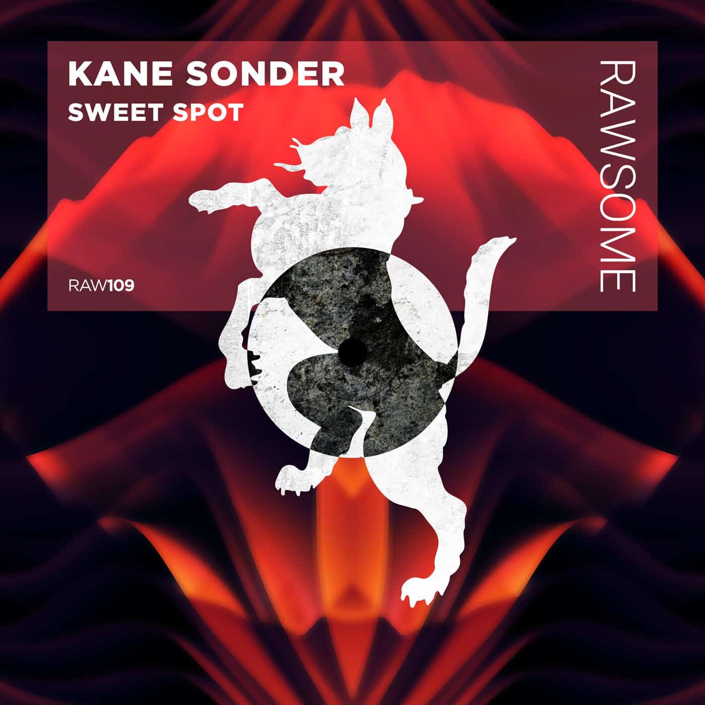 image cover: Kane Sonder - Sweet Spot / RAW109