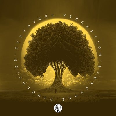 03 2023 346 216201 VA - Steyoyoke Perception, Vol. 10 / SYYKPERC010