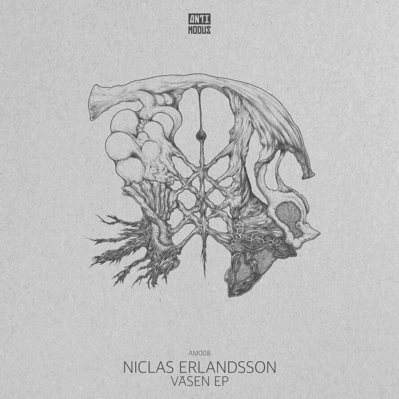image cover: Niclas Erlandsson - Vasen EP / AM008