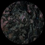 03 2023 346 357212 Tarantula Nebula - Infinite Lights Part 1 / AMLTD001
