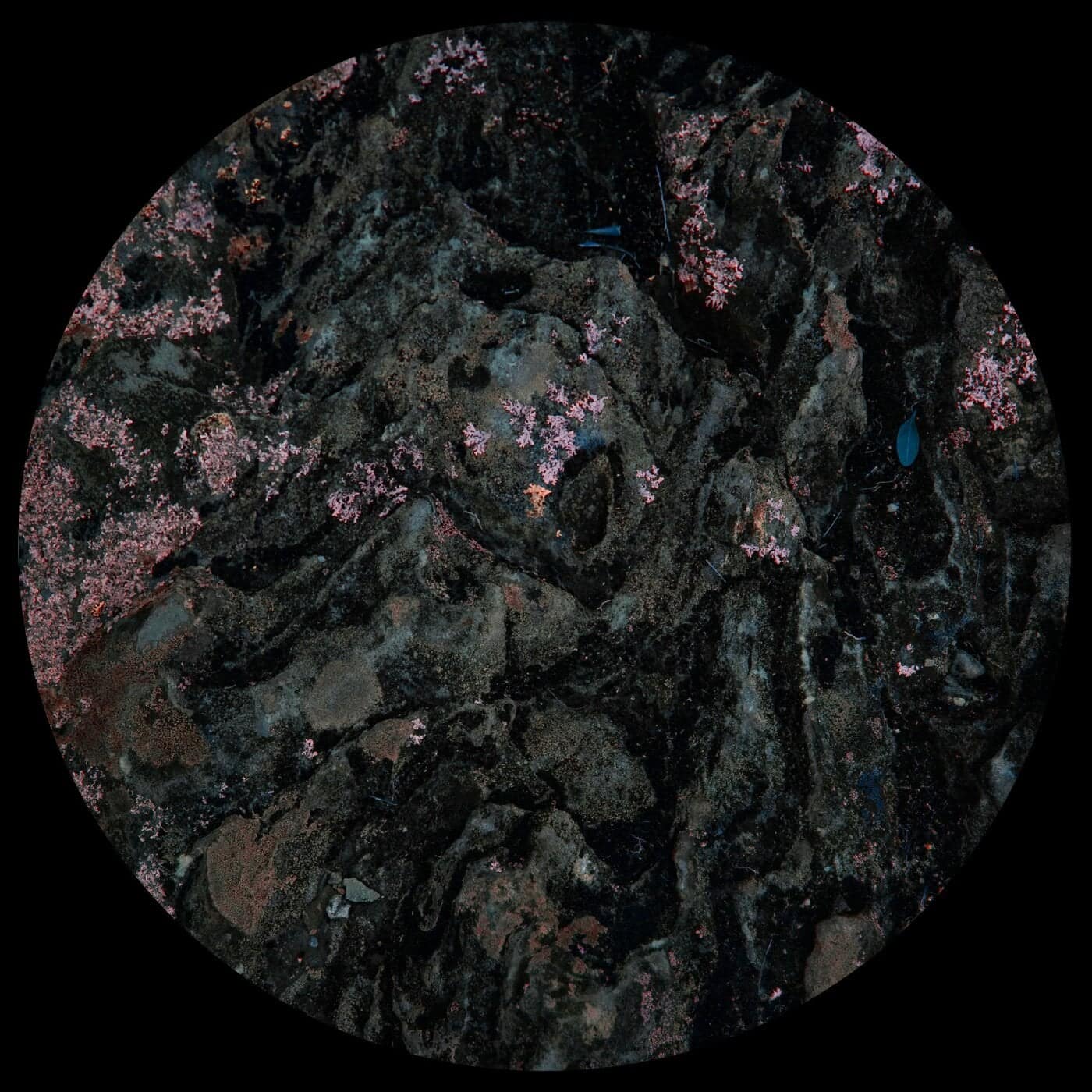 image cover: Tarantula Nebula - Infinite Lights Part 1 / AMLTD001