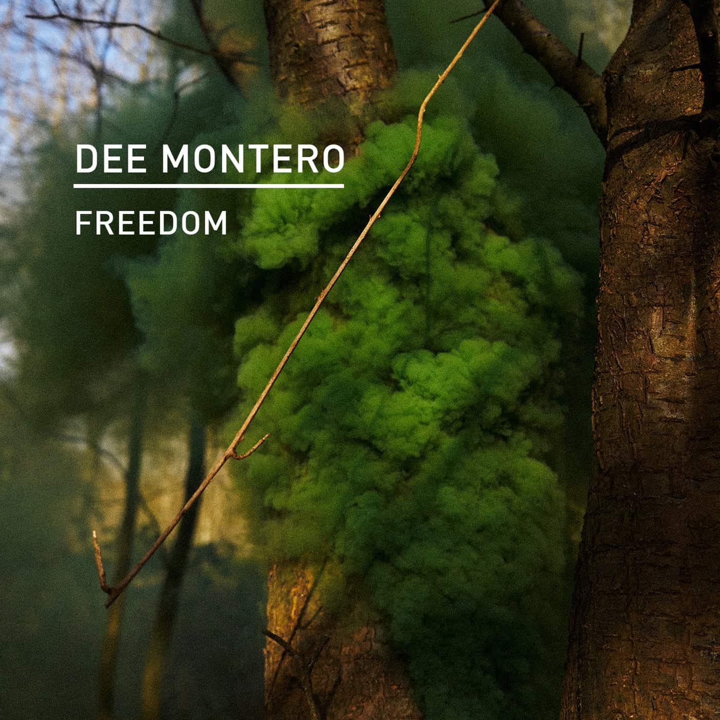 image cover: Dee Montero - Freedom / KD164