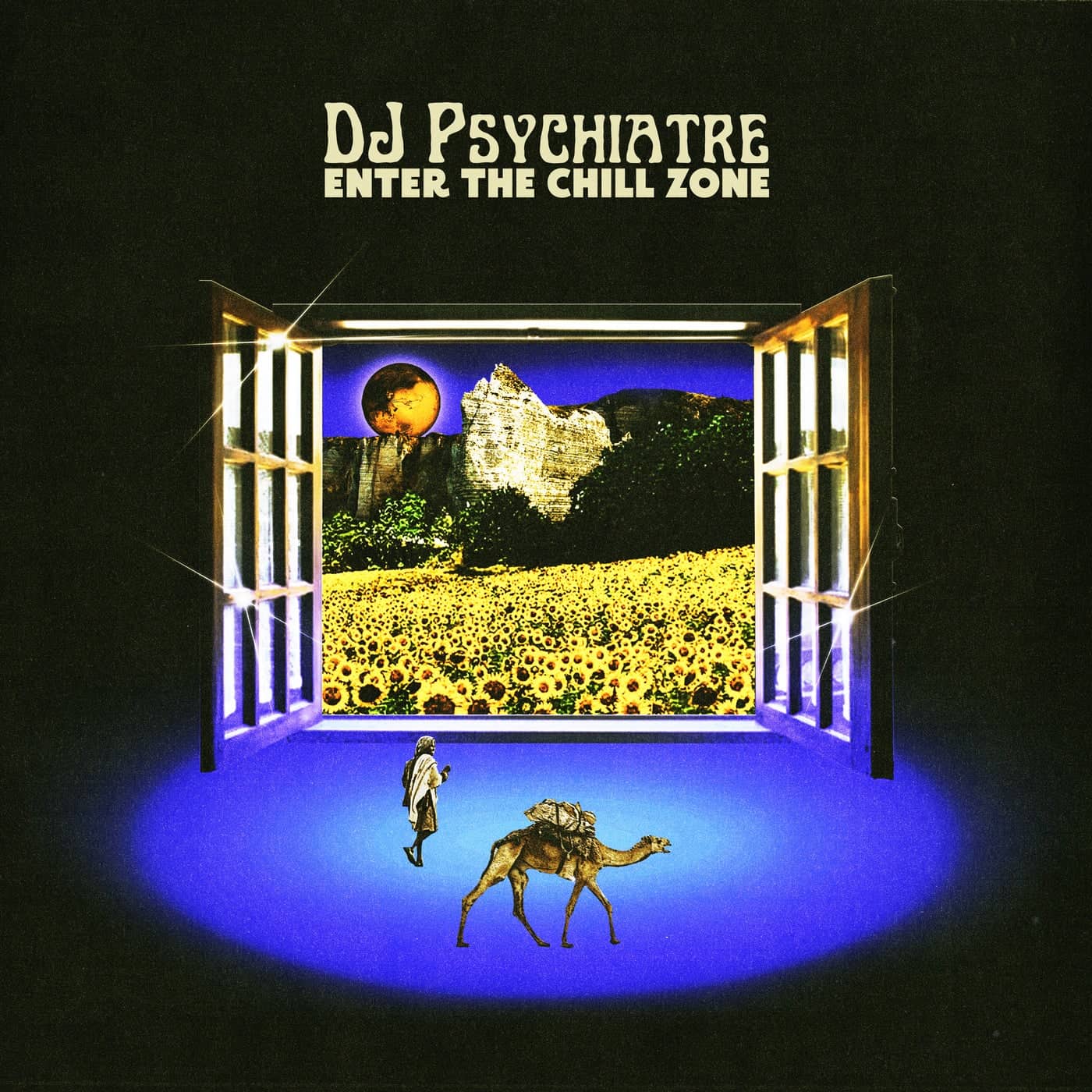 image cover: DJ Psychiatre - Enter The Chill Zone / PN021c