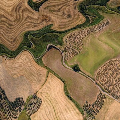 03 2023 346 559951 Rhode & Brown, Nu-Cleo, Will Buck, Guri - Planet Systems / PS007