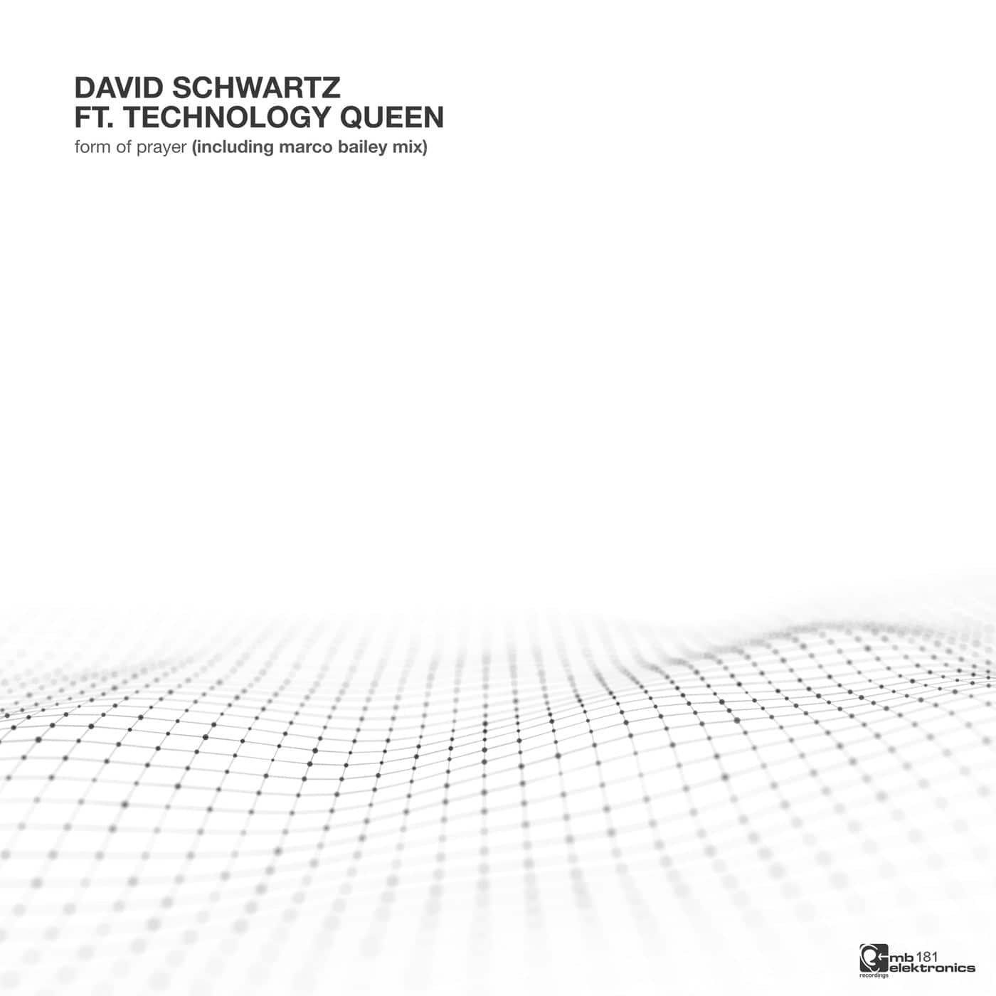 Download David Schwarz, Technology Queen - Technology Queen on Electrobuzz