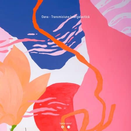 03 2023 346 91350 Oana - Transmisiune Intergalactică