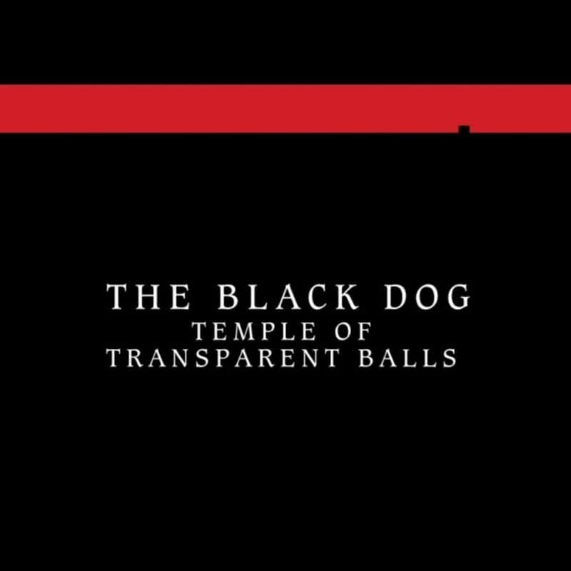 image cover: The Black Dog - Temple Of Transparent Balls / SOMADA063