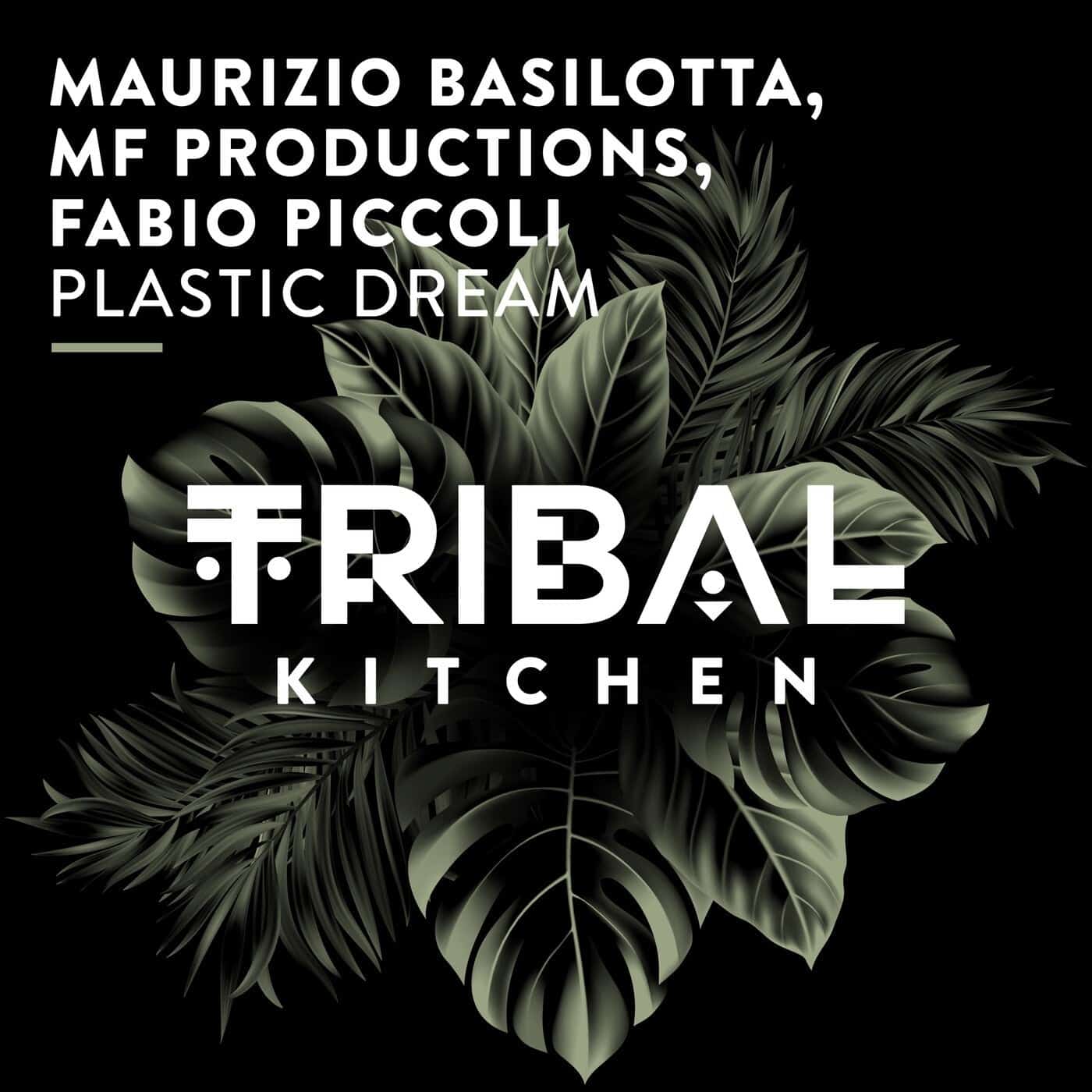 image cover: Maurizio Basilotta, MF Productions, Fabio Piccoli - Plastic Dream / TK253
