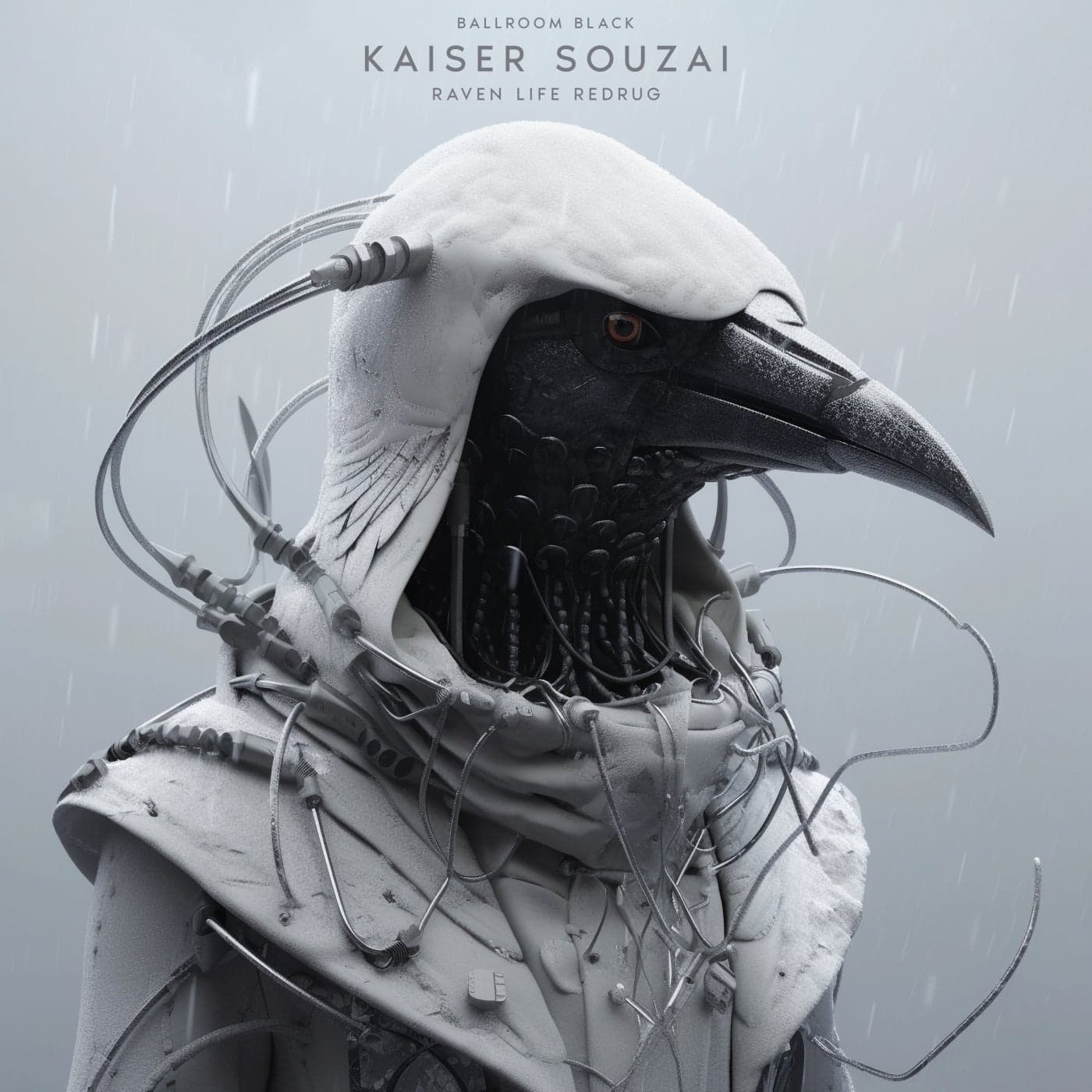 image cover: Kaiser Souzai - Raven Life ReDrug / BLRMBLACK074