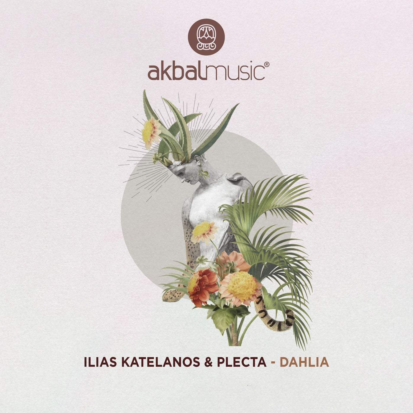 Download Ilias Katelanos, Plecta - Dahlia on Electrobuzz