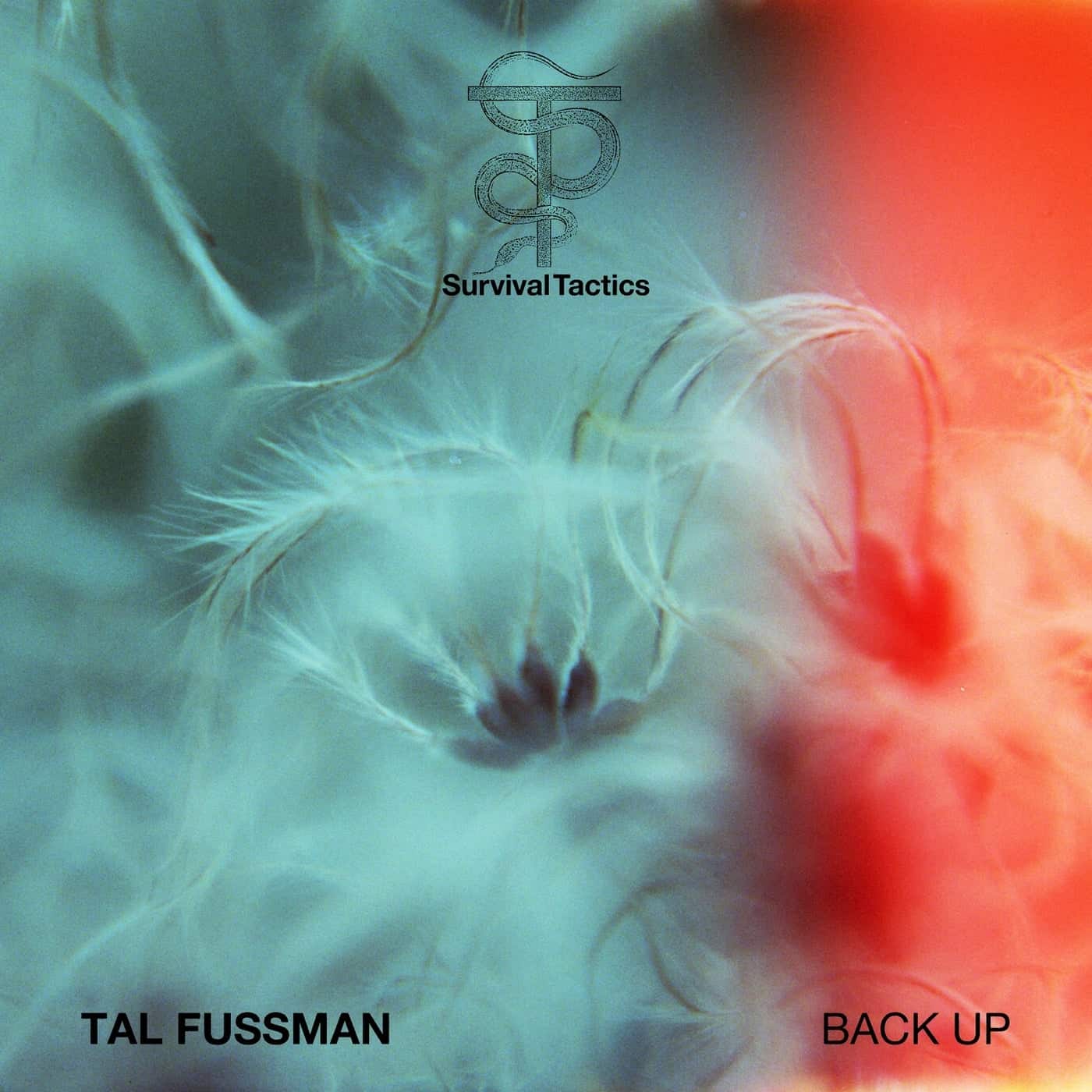 image cover: Tal Fussman - Back Up / ST002