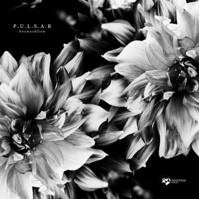 04 2023 346 344807 P.U.L.S.A.R - Neoworkflow / DVTR107