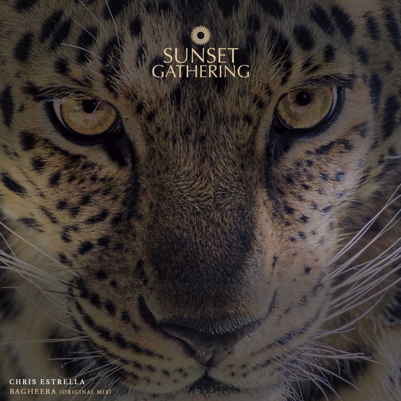 image cover: Chris Estrella - Bagheera (Original Mix) / SG044