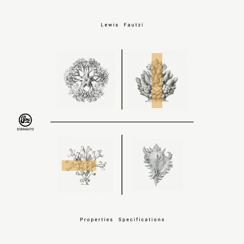 image cover: Lewis Fautzi - Properties Specifications EP /