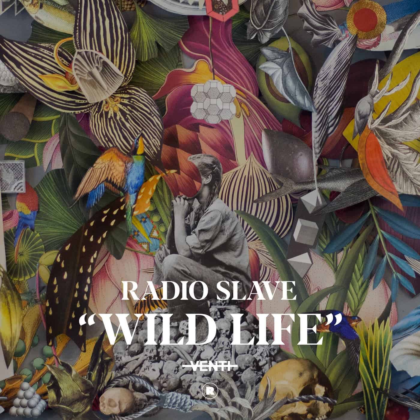 image cover: Radio Slave - Wild Life / REKIDS222