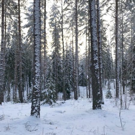 04 2023 346 517363 Aleksi Perala - GAIA 2 / APMU86