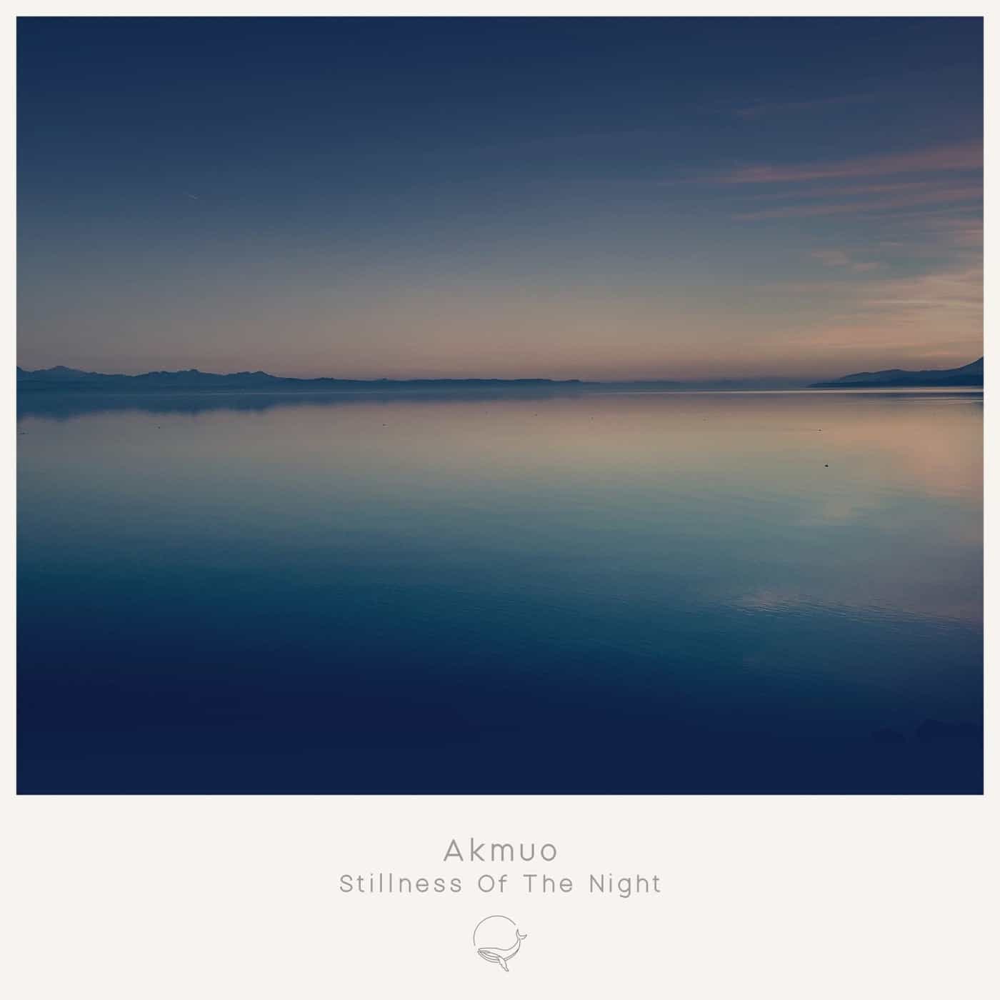 Download Akmuo - Stillness of the Night on Electrobuzz