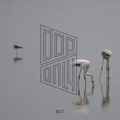 05 2023 346 117628 dop - Jealous of The Birds / DOPONLY017