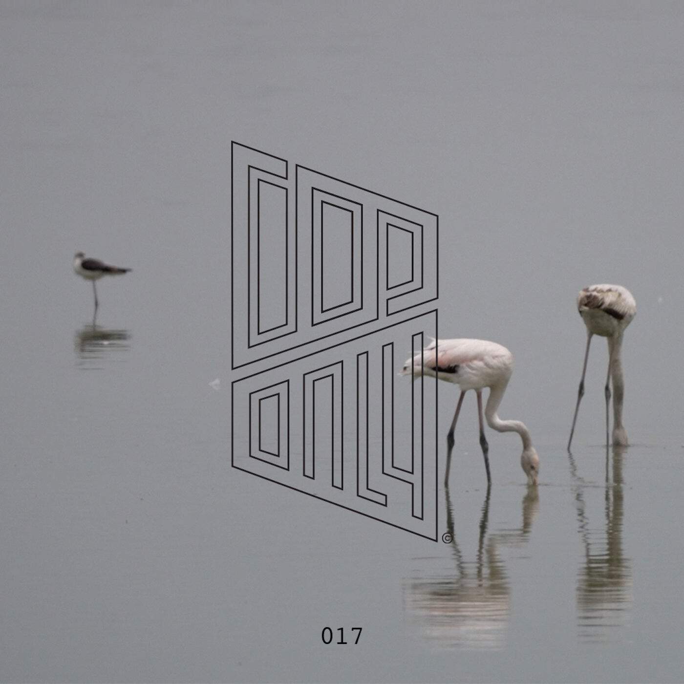 image cover: dop - Jealous of The Birds / DOPONLY017