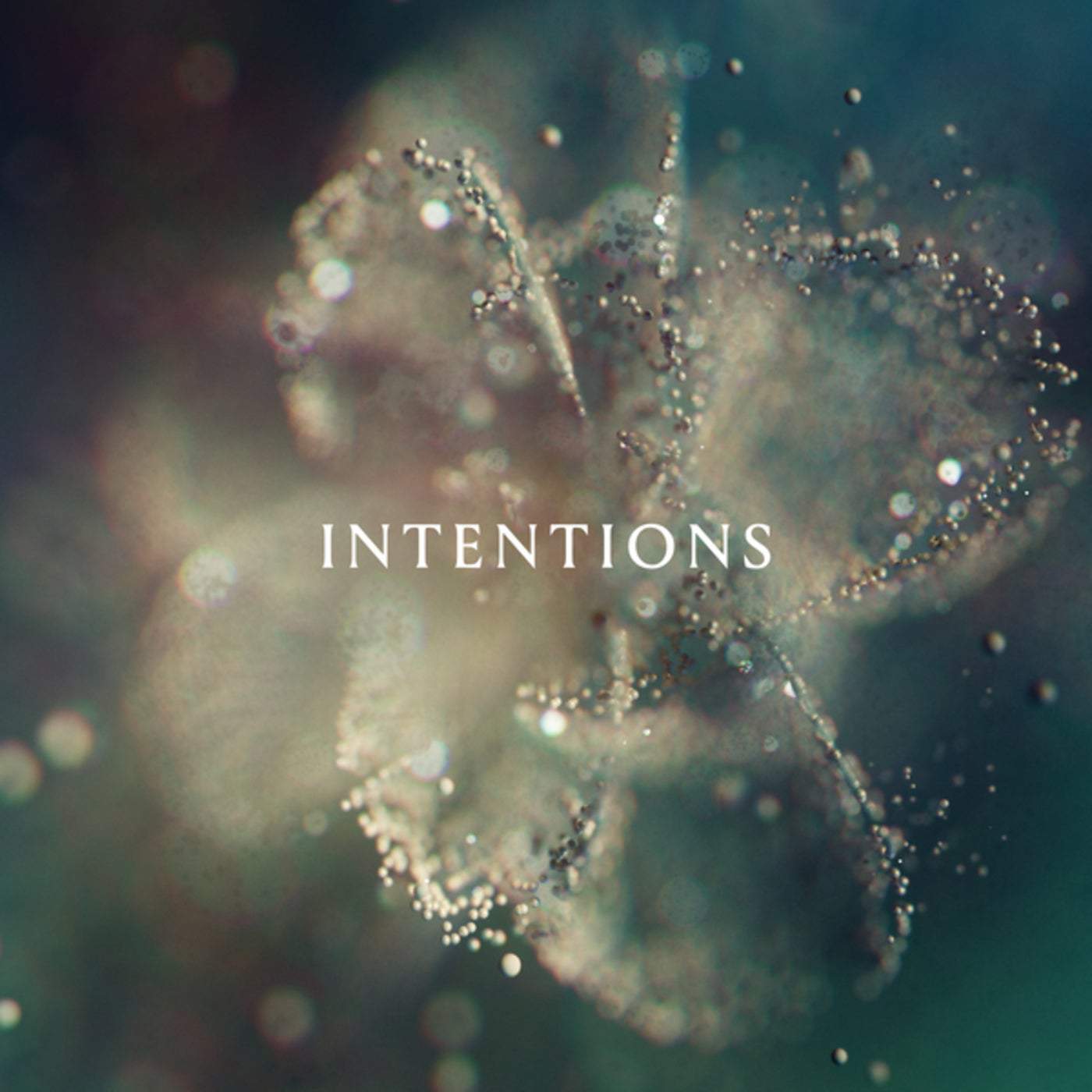 image cover: ANNA, Laraaji, East Forest - Intentions / 00602448397898