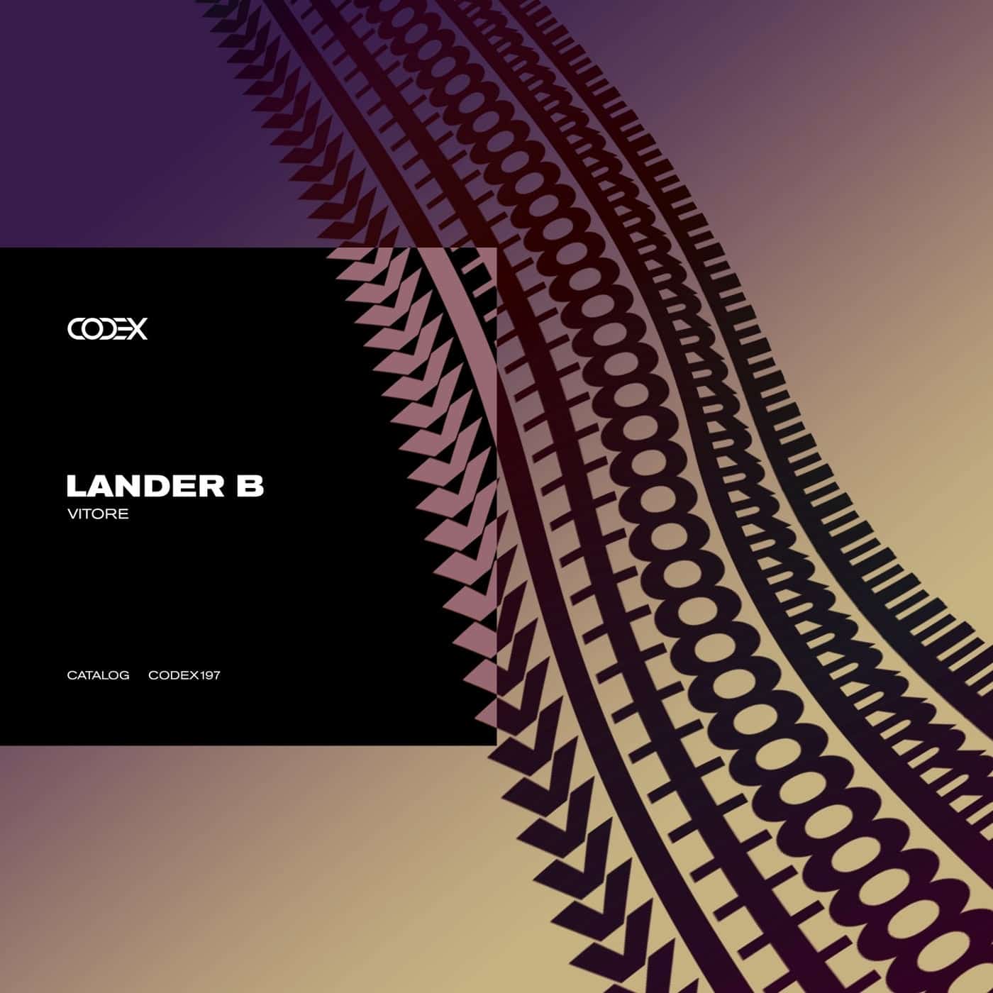 image cover: Lander B - Vitore / CODEX197