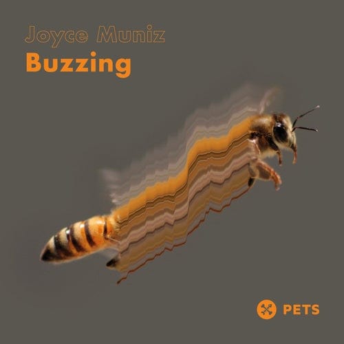 image cover: Joyce Muniz - Buzzing EP / PETS173