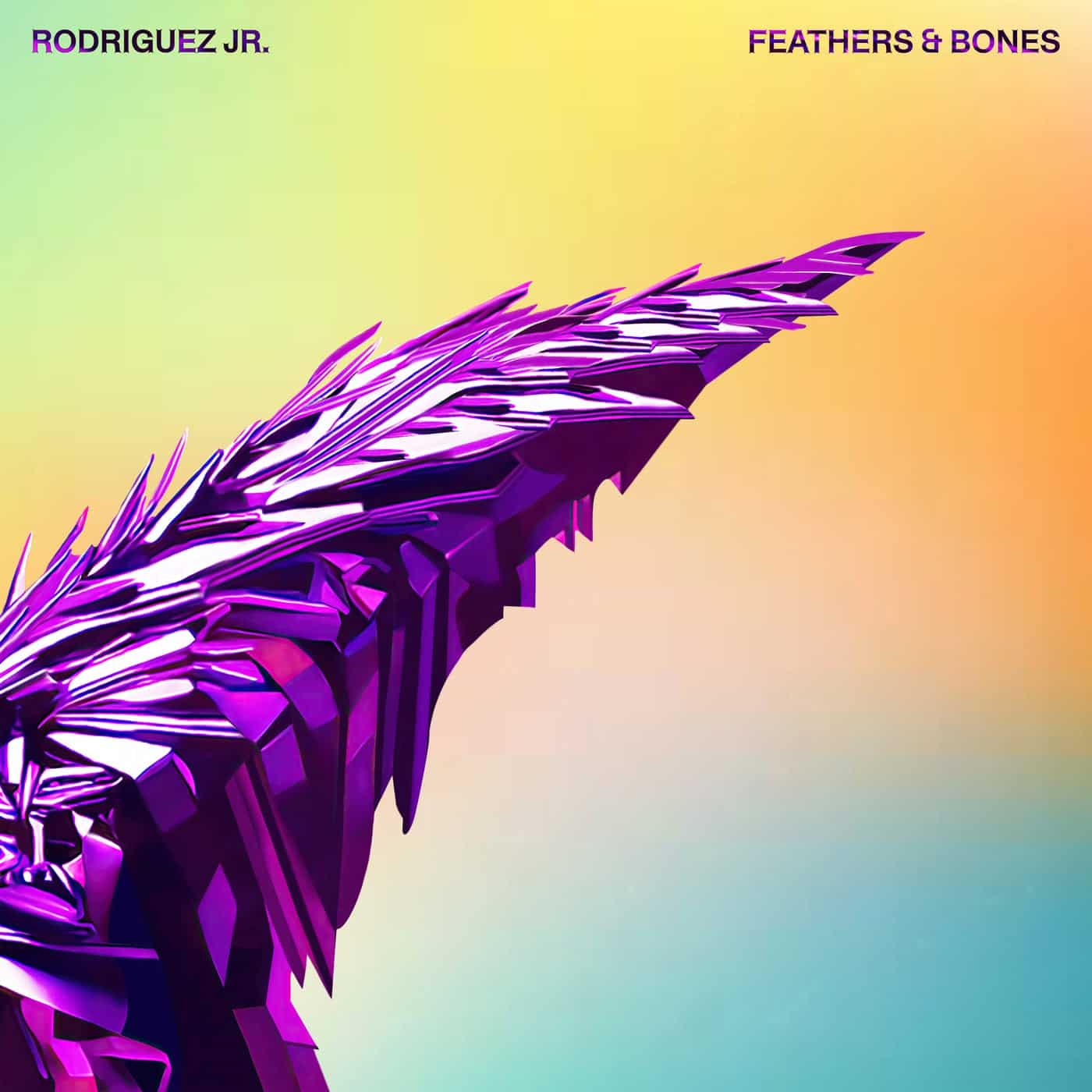 image cover: Rodriguez Jr., Liset Alea, RJLA, Stereo MC's, Giorgia Angiuli - Feathers & Bones / F&BLP001