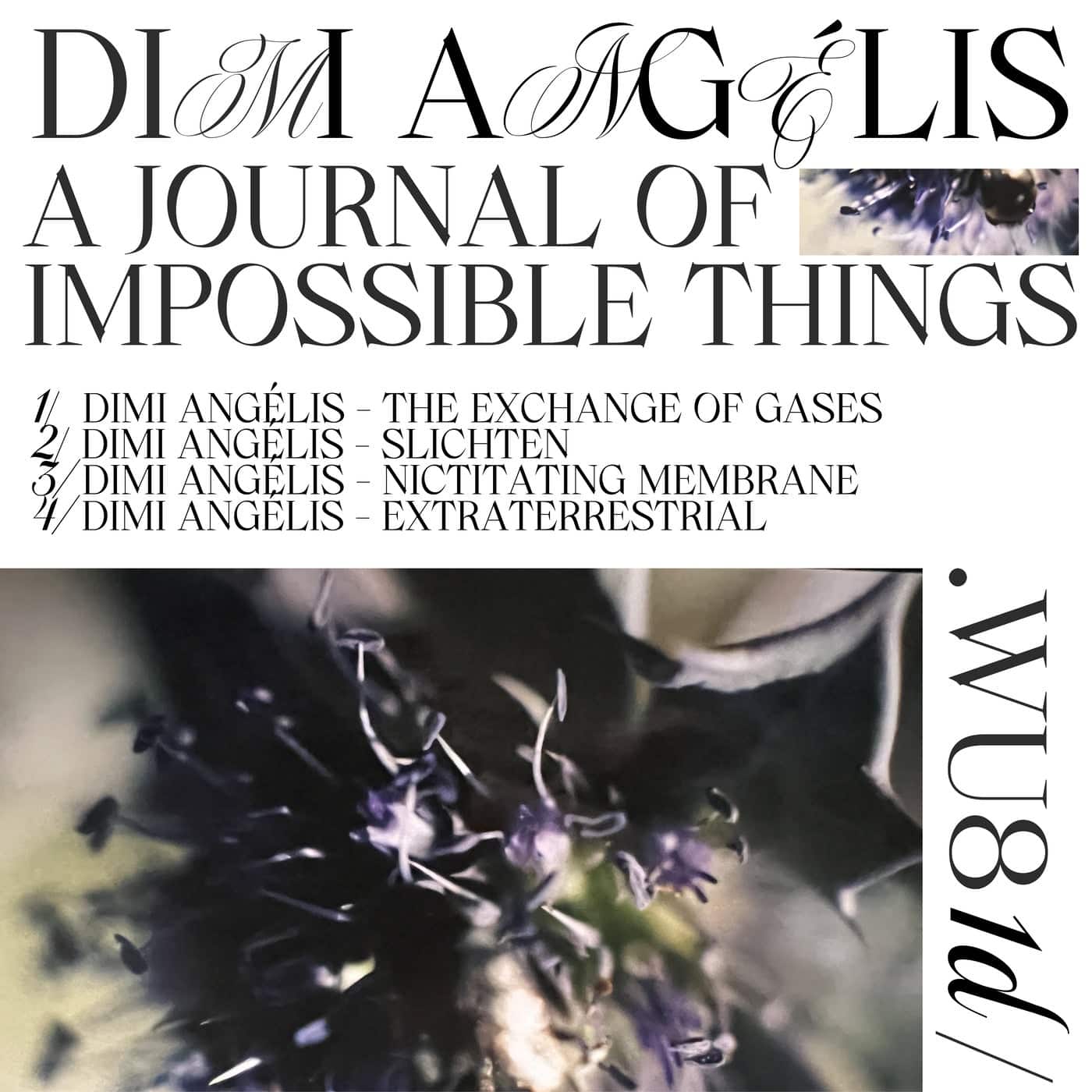 image cover: Dimi Angelis - A Journal of Impossible Things / WU81D