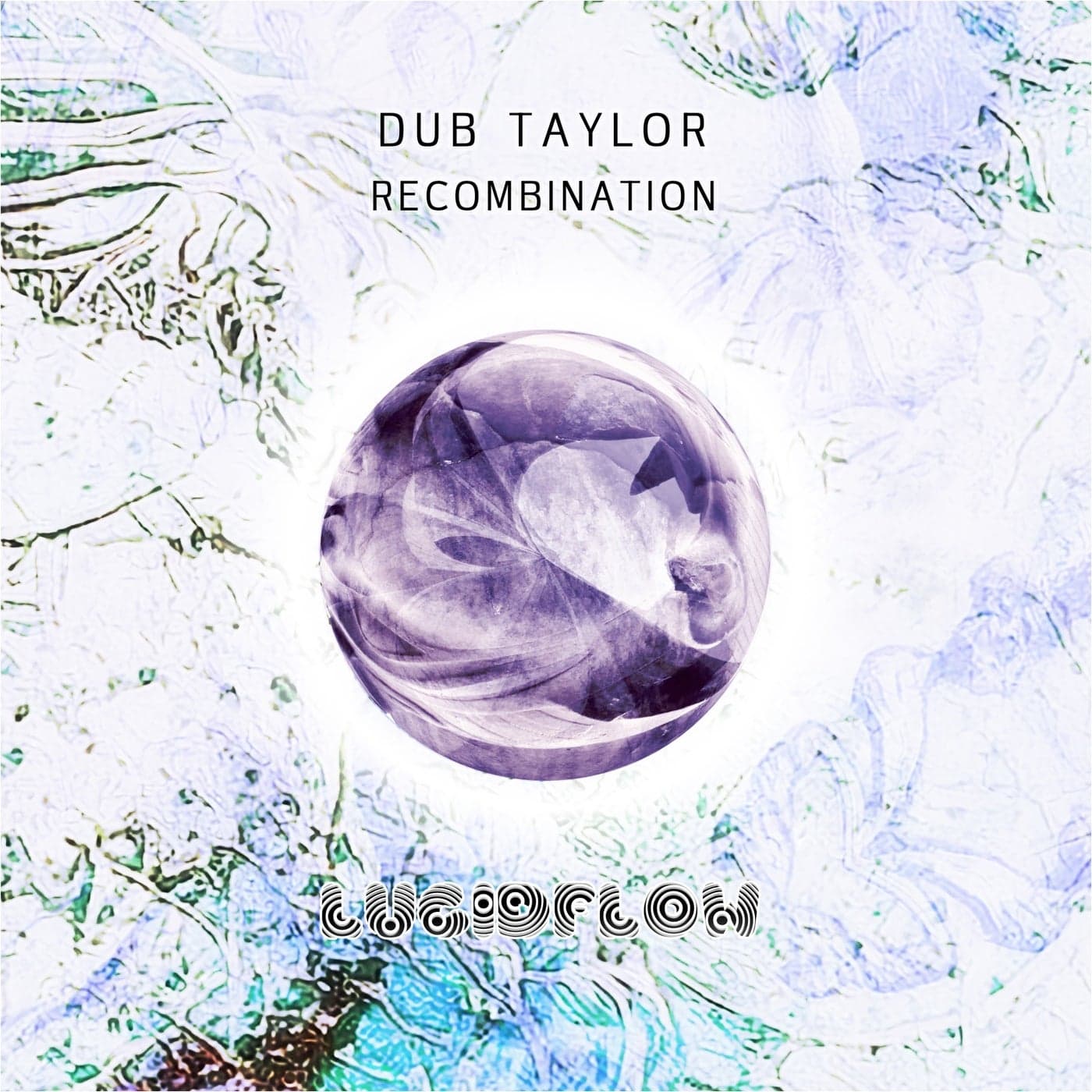 image cover: Dub Taylor - Recombination / LF281