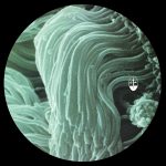05 2023 346 352429 Anthony Linell - Sheltering Skies /