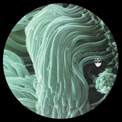 05 2023 346 352429 Anthony Linell - Sheltering Skies /