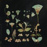 05 2023 346 383891 Leaving Laurel - when the quiet comes / ANJCD132D