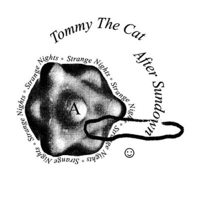 05 2023 346 38545 Tommy The Cat - After Sundown / EBEAMZ043