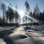 05 2023 346 385708 Aleksi Perala - GAIA 5 / APMU89