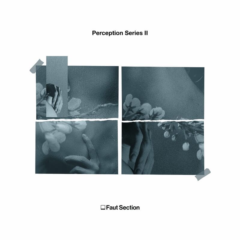 image cover: Lewis Fautzi - Perception Series || /