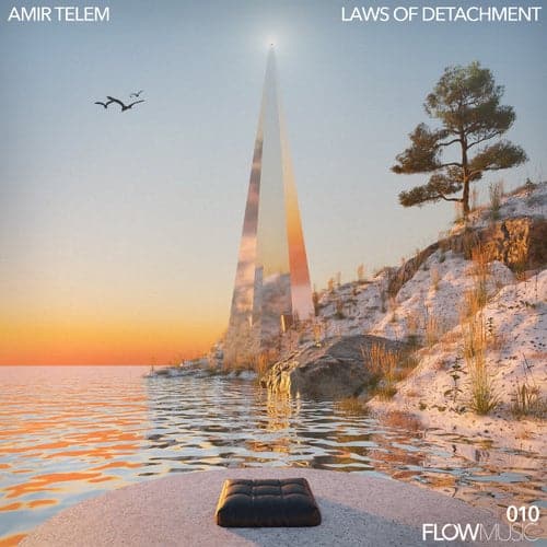 image cover: Amir Telem - Laws Of Detachment / FMR010DJ