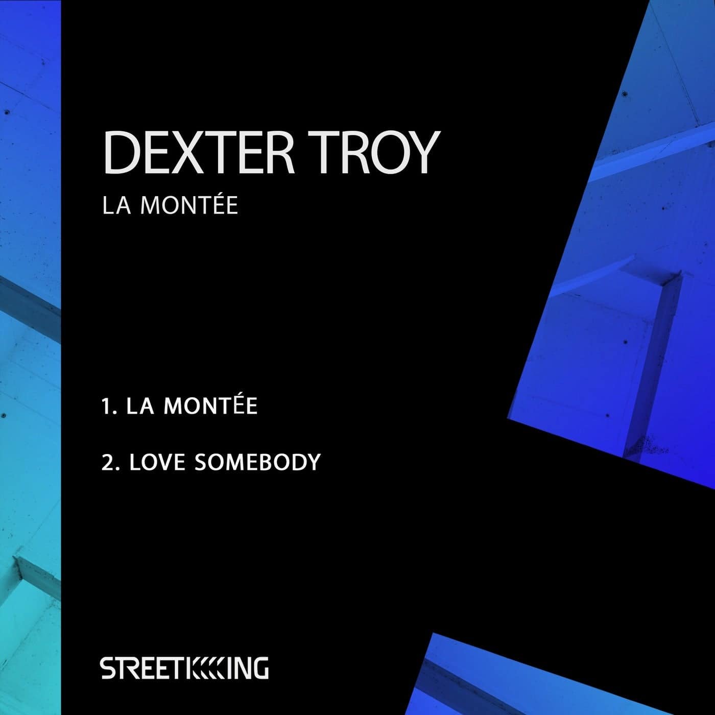 image cover: Dexter Troy - La Montee / SK635
