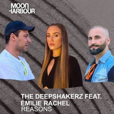88f8fe29e54823b4dee71b85c0c55a66 The Deepshakerz Reasons Chart