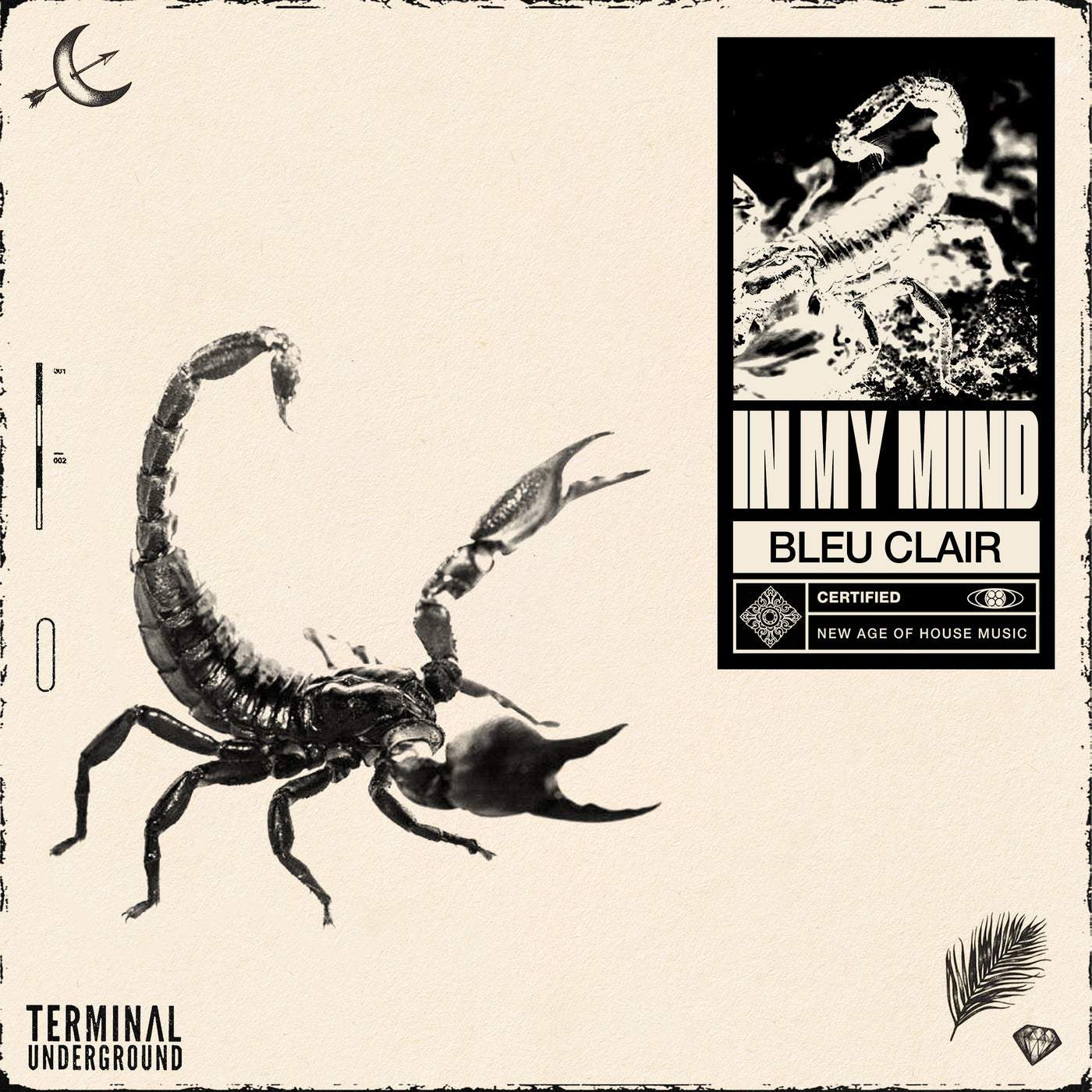 image cover: Bleu Clair - In My Mind / TU0096