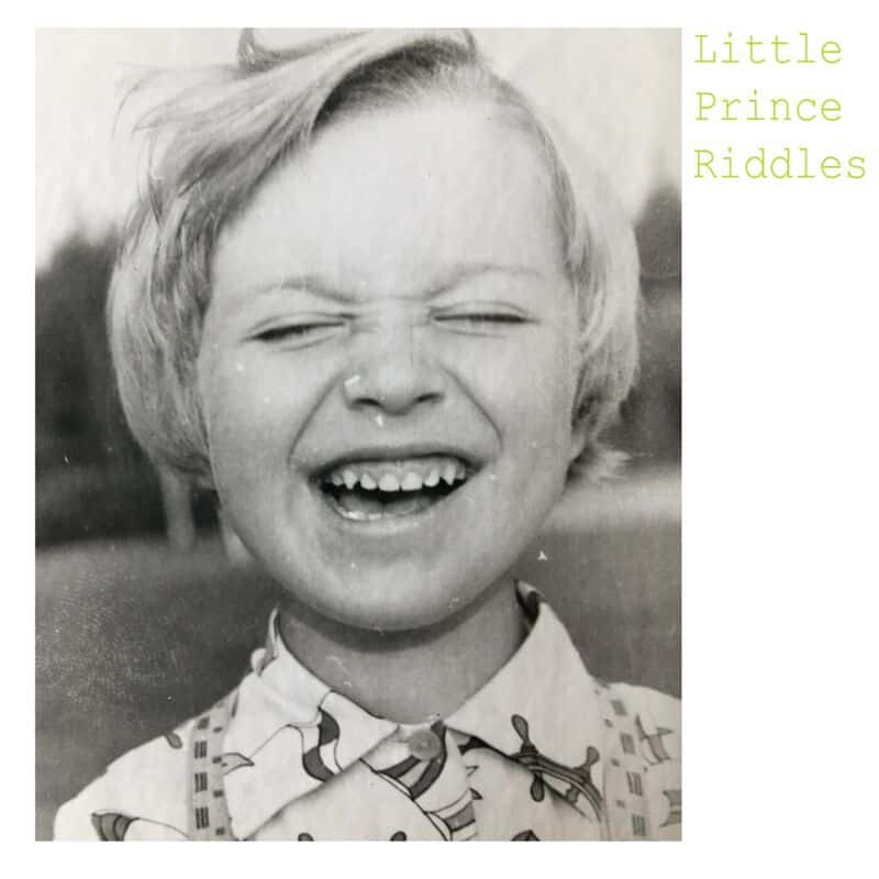 image cover: Anton Kubikov - Little Prince Riddles /