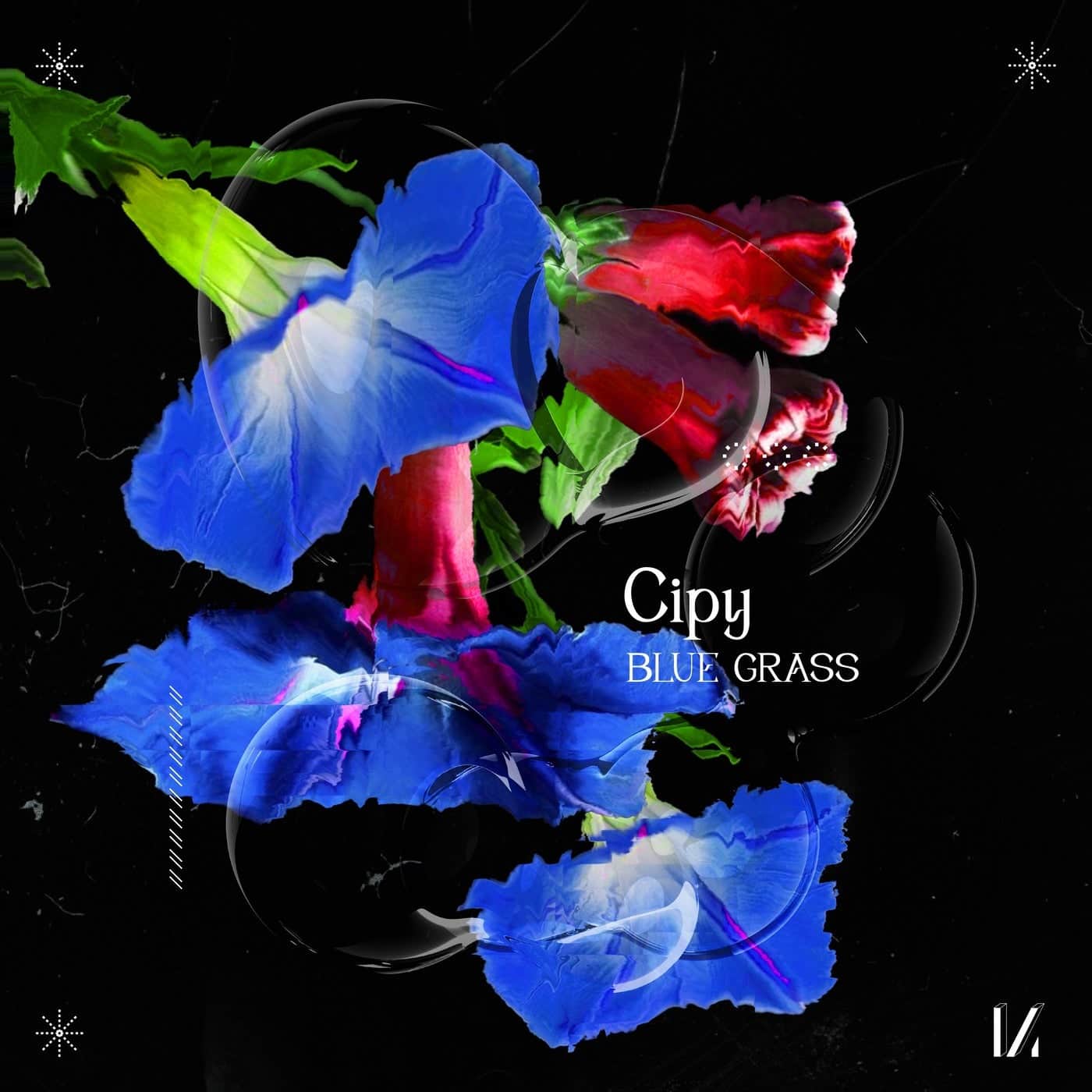 image cover: Cipy - Blue Grass / MULTINOTES55