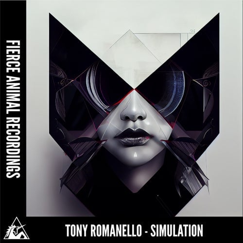 image cover: Tony Romanello - Simulation / FRCNML319
