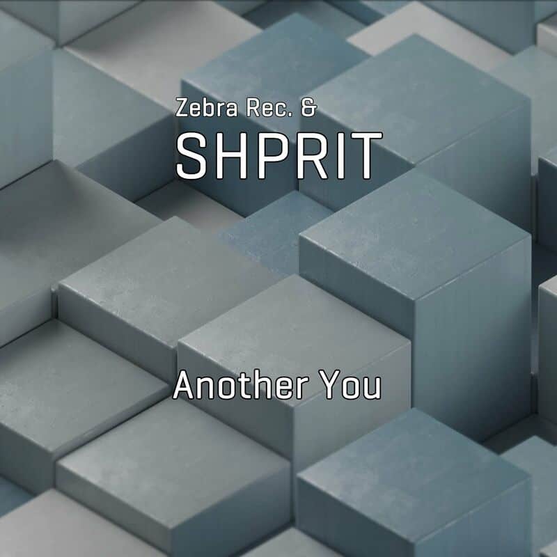 image cover: Zebra Rec./Shprit - Another You /