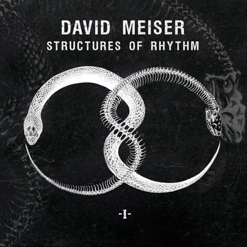 image cover: David Meiser - Structures of Rhythm (P1) / DV003