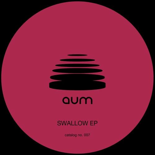 Release Cover: Teno - SWALLOW on Electrobuzz