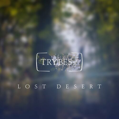 image cover: Lost Desert - Can't Stop / try049