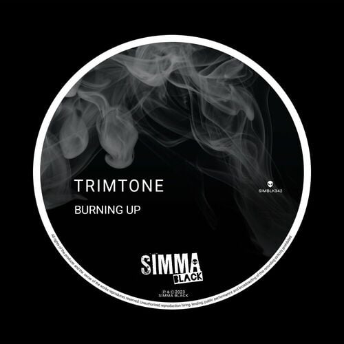 Release Cover: Trimtone - Burning Up on Electrobuzz