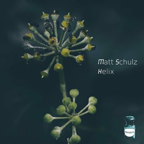 image cover: Matt Schulz - Helix